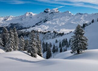 Jak rozbić zbity puch? Jak rozbić zbity puch?
