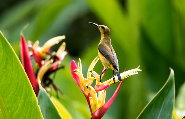 Kto płaci za rozmowę w roamingu? Kto płaci za rozmowę w roamingu?