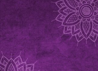 Ile wynosi mandat za łowienie bez karty? Ile wynosi mandat za łowienie bez karty?