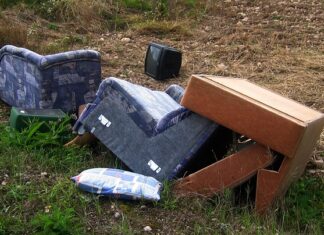 Gdzie zgłosić nielegalne dochody?