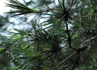 Czy można jeździć z otwartym bagażnikiem? Czy można jeździć z otwartym bagażnikiem?