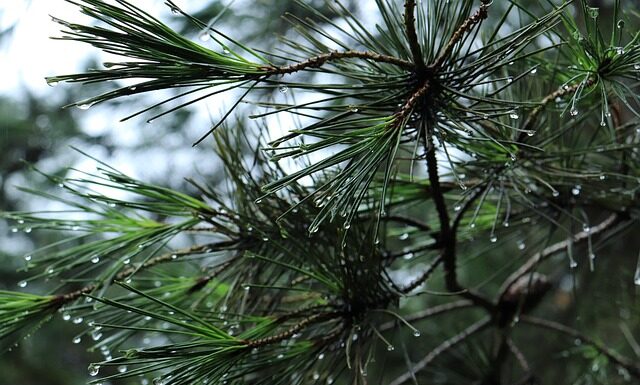 Jak zamontować bagażnik rowerowy na haku?