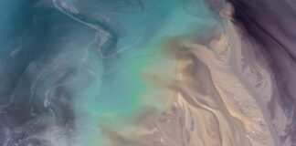 Jak przetrwać skażenie radioaktywne?