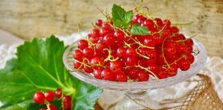 Ile żeberek na 20 m kwadratowych?