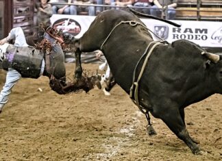 Jaka maść na ostrogi piętowe? Jaka maść na ostrogi piętowe?