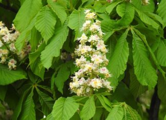 Co powiedzieć komuś przed maturą?