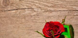 Czym wypełnić szkatułkę?