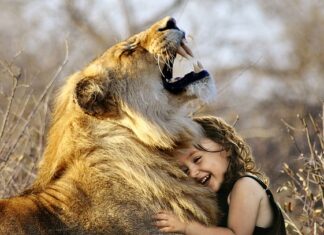 Jaka jest najlepsza tkanina obiciowa?