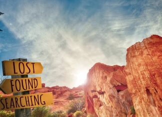 Co oznacza zgubiony portfel? Co oznacza zgubiony portfel?