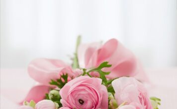 Czy świadkową na ślubie cywilnym powinna mieć bukiet? Czy świadkową na ślubie cywilnym powinna mieć bukiet?