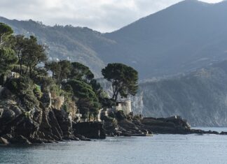 Ile kosztuje bukiet z 50 róż? Ile kosztuje bukiet z 50 róż?