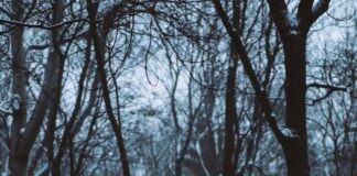 Zakład Kamieniarski Robert Gołębiewski